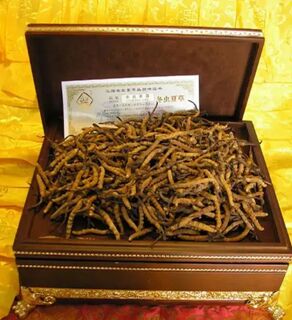德州各种名酒新老茅台酒回收-回收龙年茅台酒瓶快速打款 相关图片